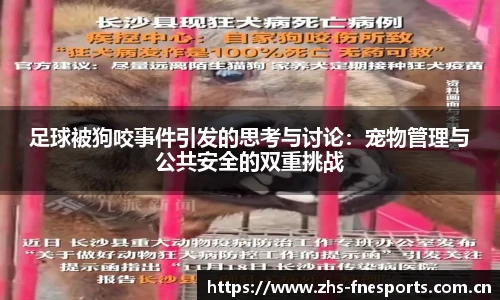 足球被狗咬事件引发的思考与讨论：宠物管理与公共安全的双重挑战